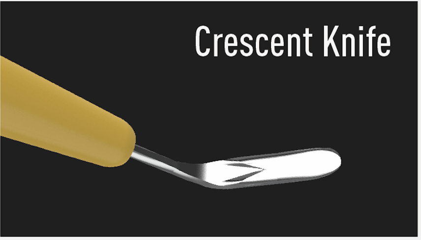 Disposable Crescent Knife 